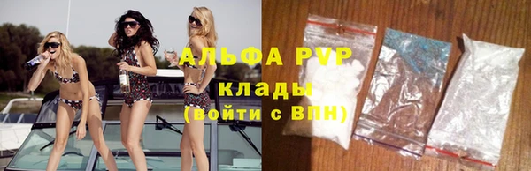прущие грибы Медногорск