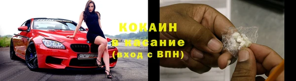 прущие грибы Медногорск