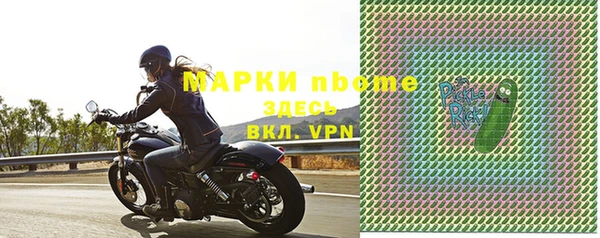 прущие грибы Медногорск