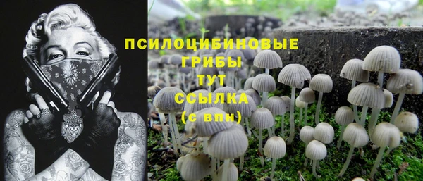 СК Мегион