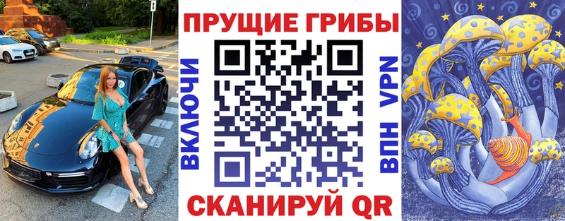 Псилоцибиновые грибы GOLDEN TEACHER  Александровск-Сахалинский 
